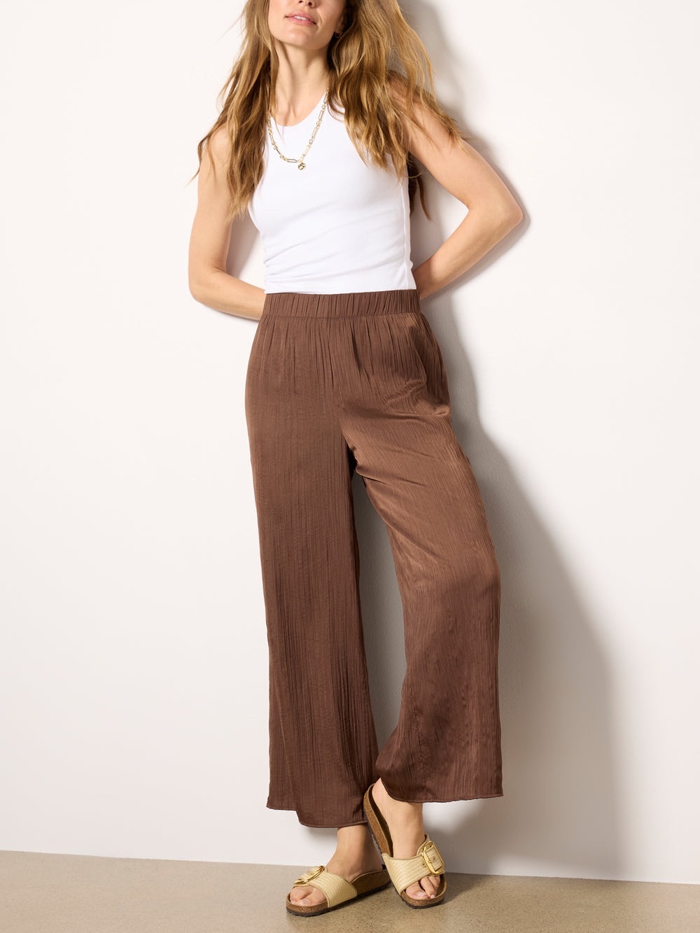 Z Supply Brown Wide-Leg Pleated Pull-On Pants